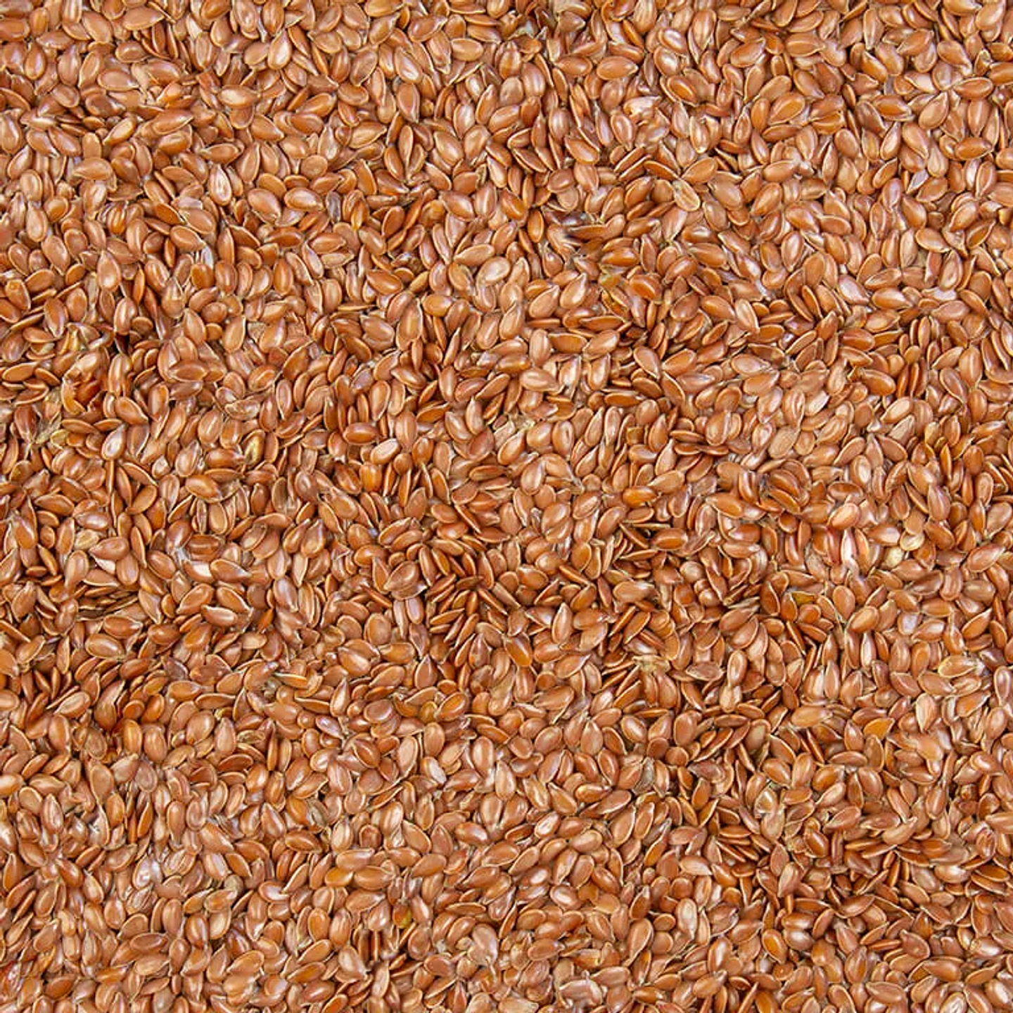 Semilla de Linaza 500gr 2