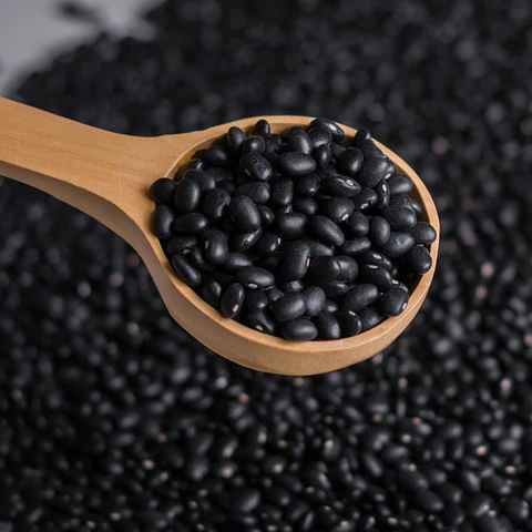 Poroto negro