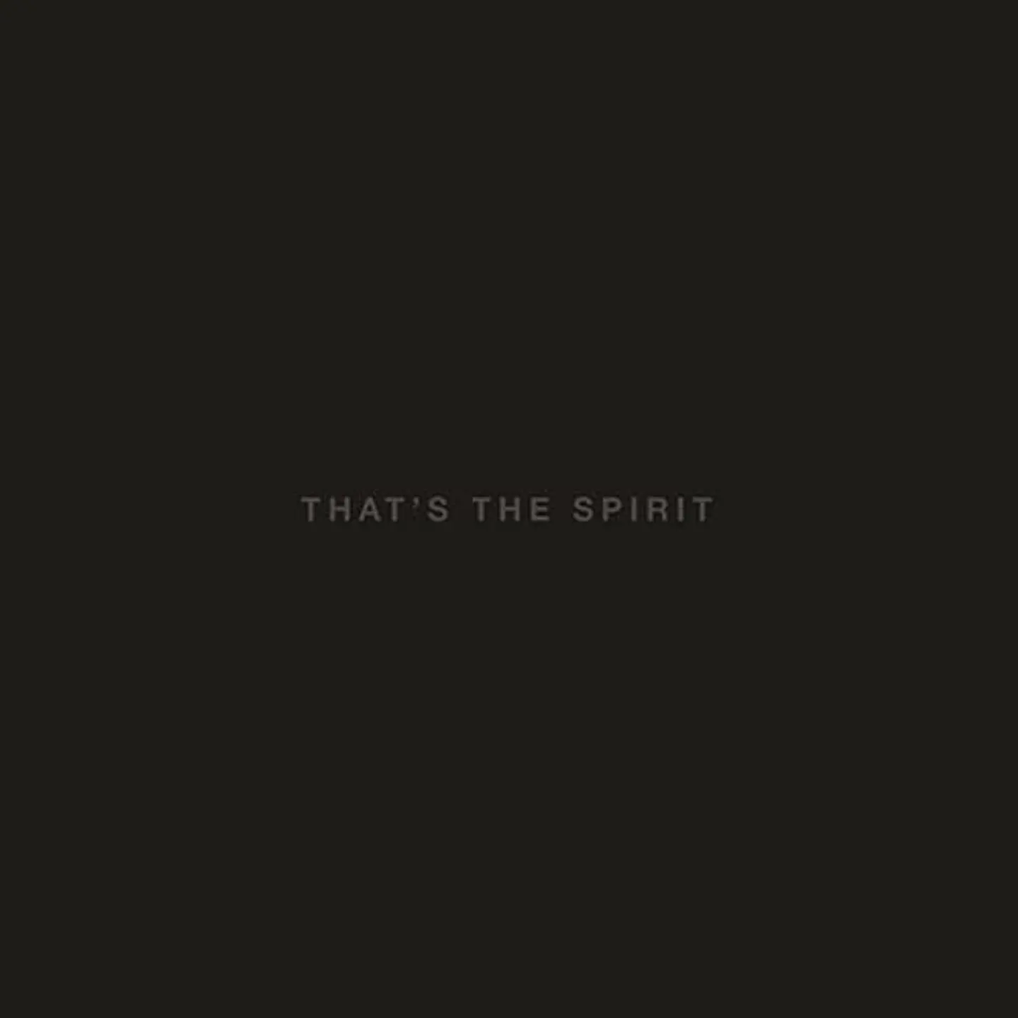 Bring Me the Horizon - That's The Spirit 1