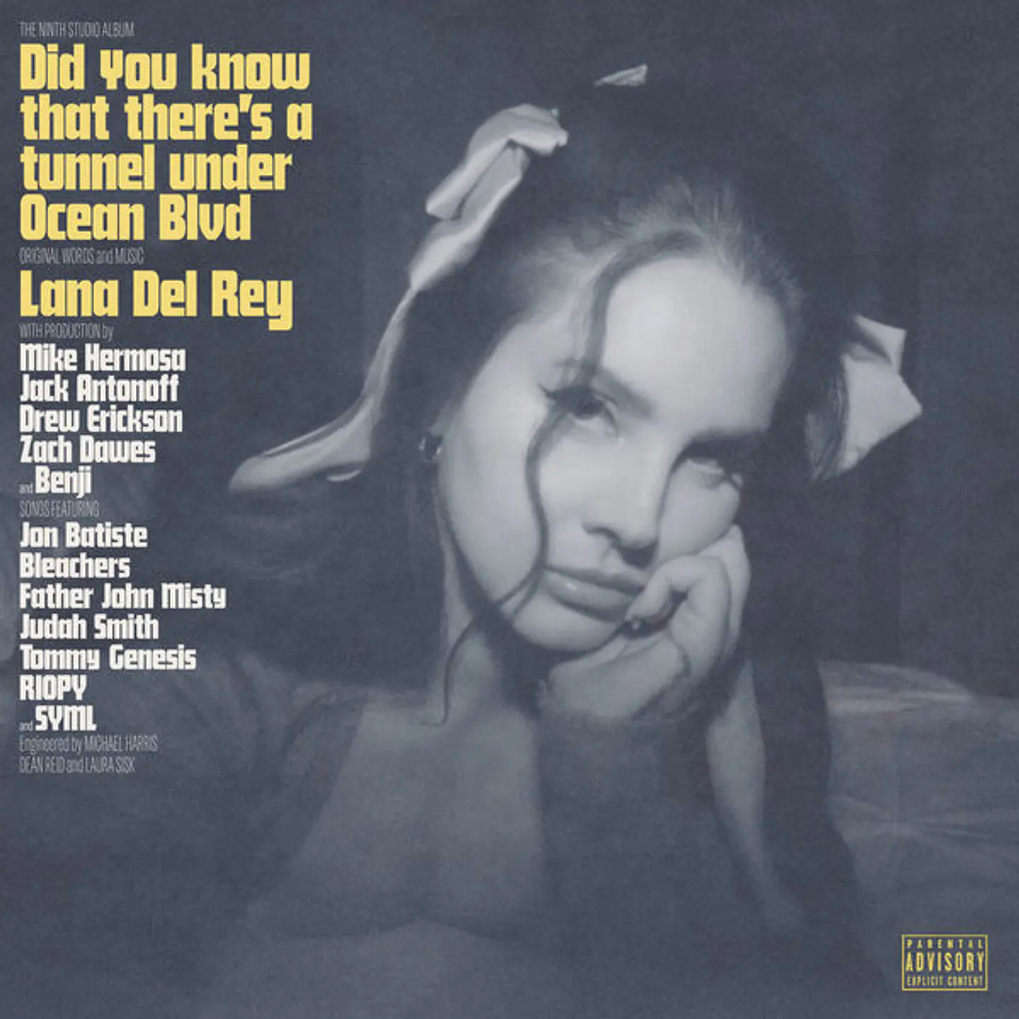 Lana del Rey - Did You Know That There's a Tunnel Under Ocean Blvd 1