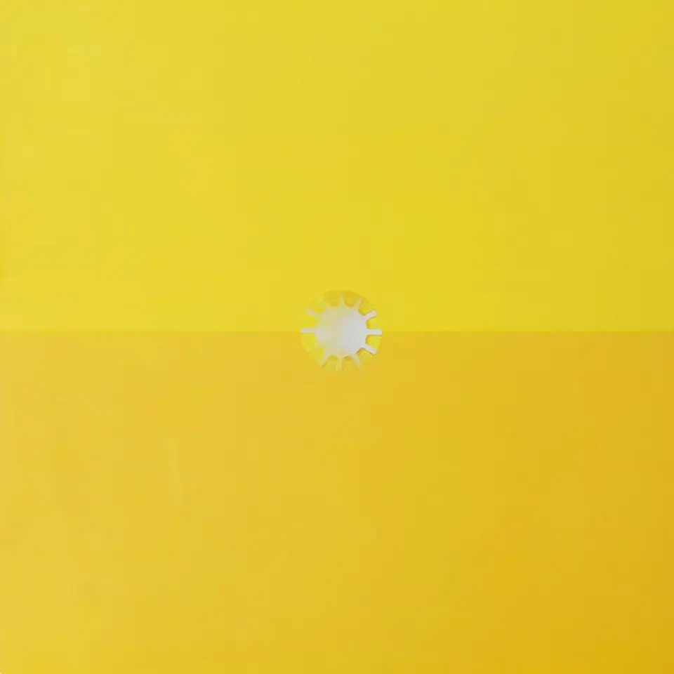 Gustavo Cerati - Amor Amarillo 1