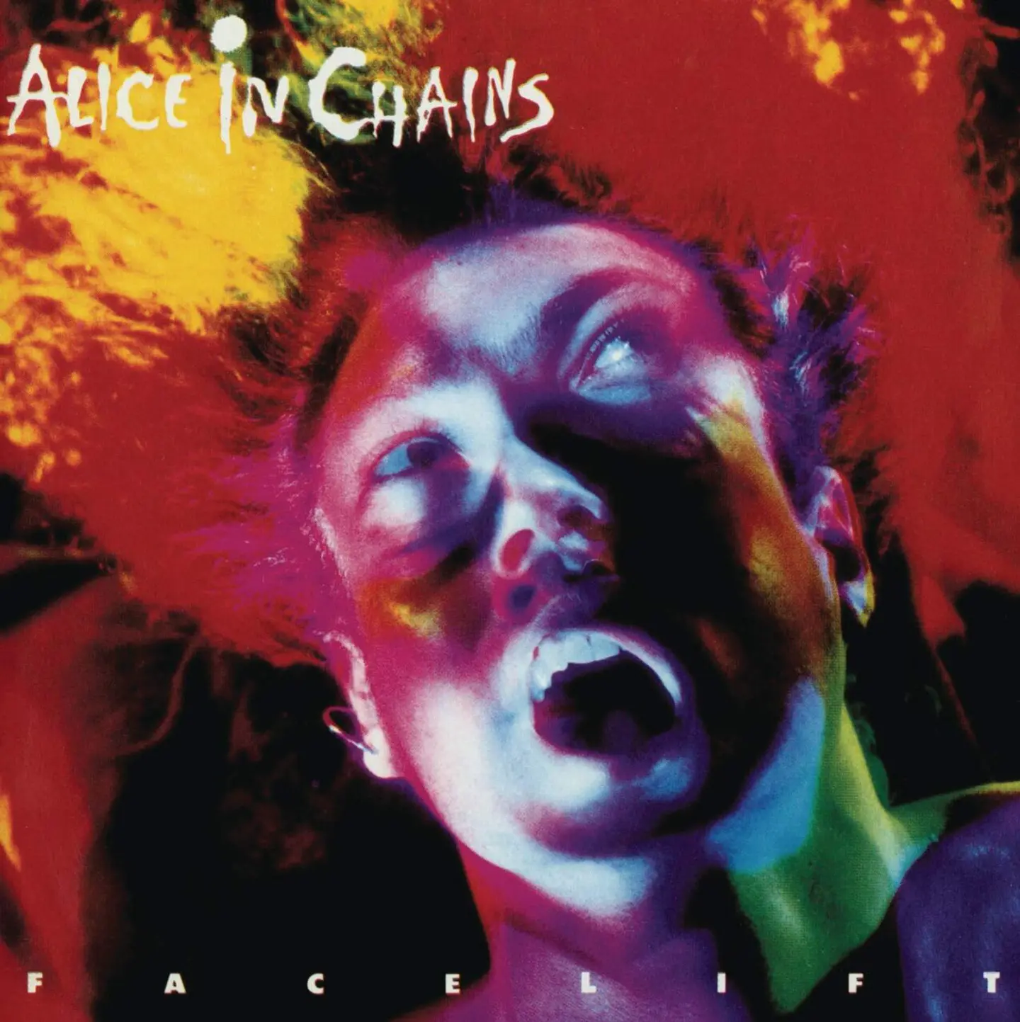 Alice in Chains - Facelift  1