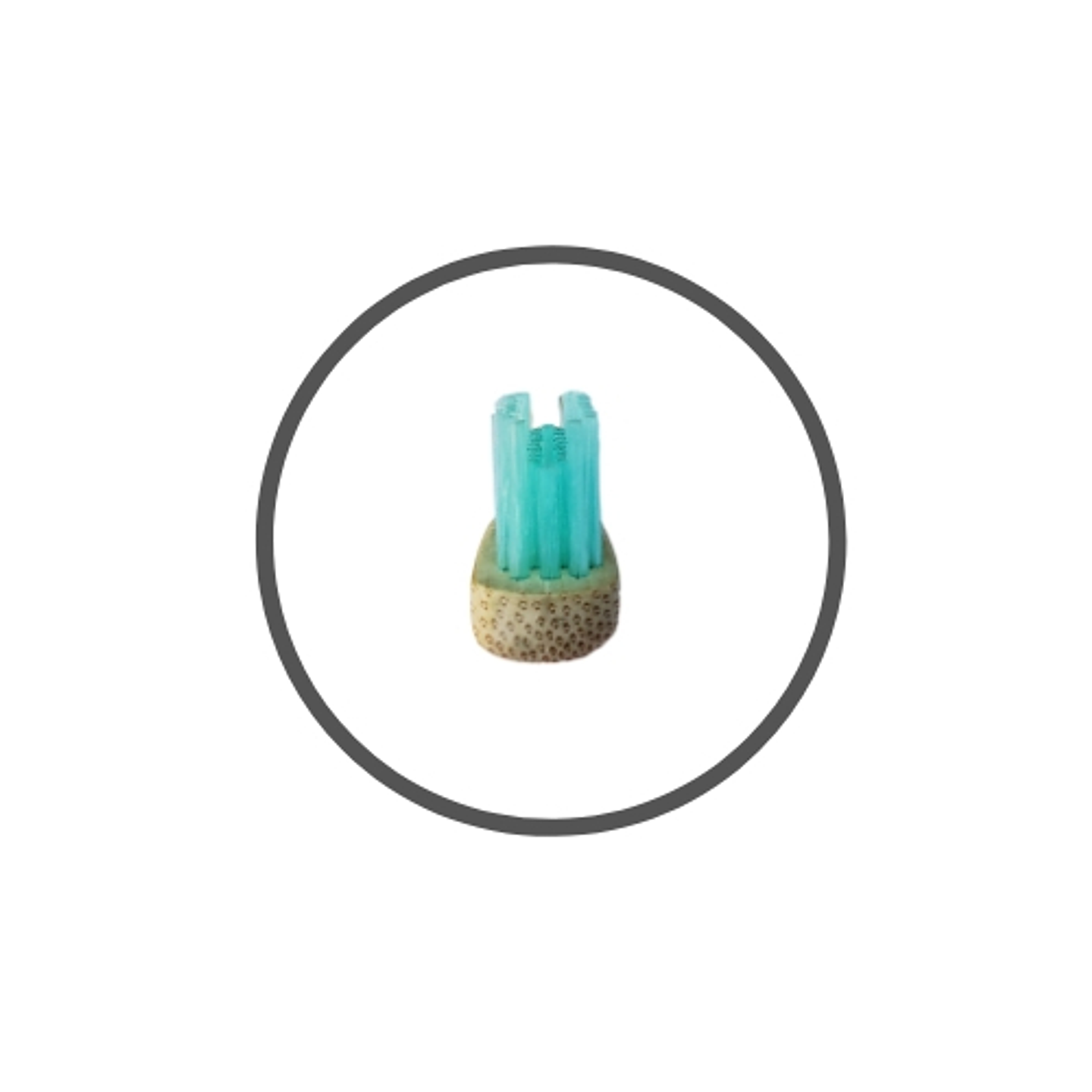 Cepillo Ortodoncia Menta Biobrush 2