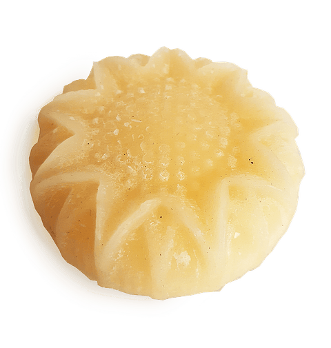 Acondicionador de Pelo Sólido