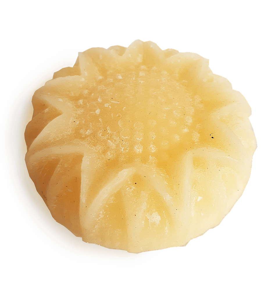 Acondicionador de Pelo Sólido 1