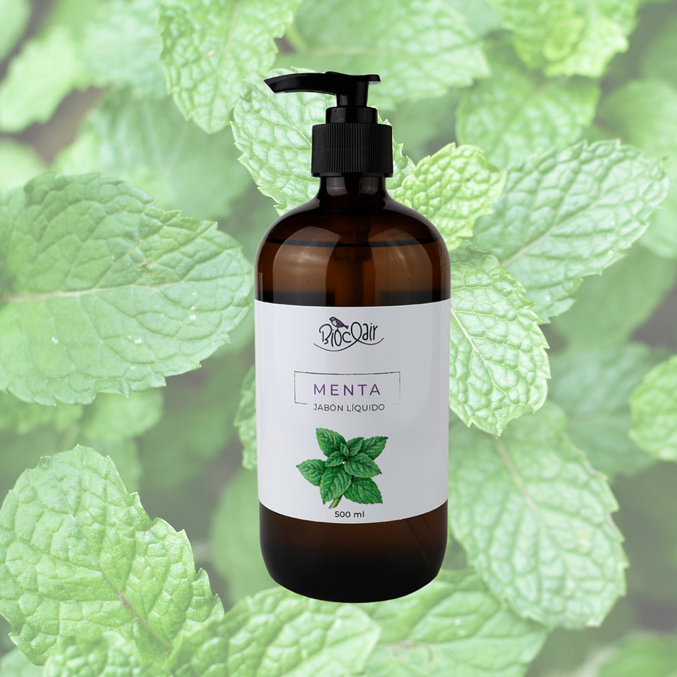 Jabón Liquido Menta Retornable 2