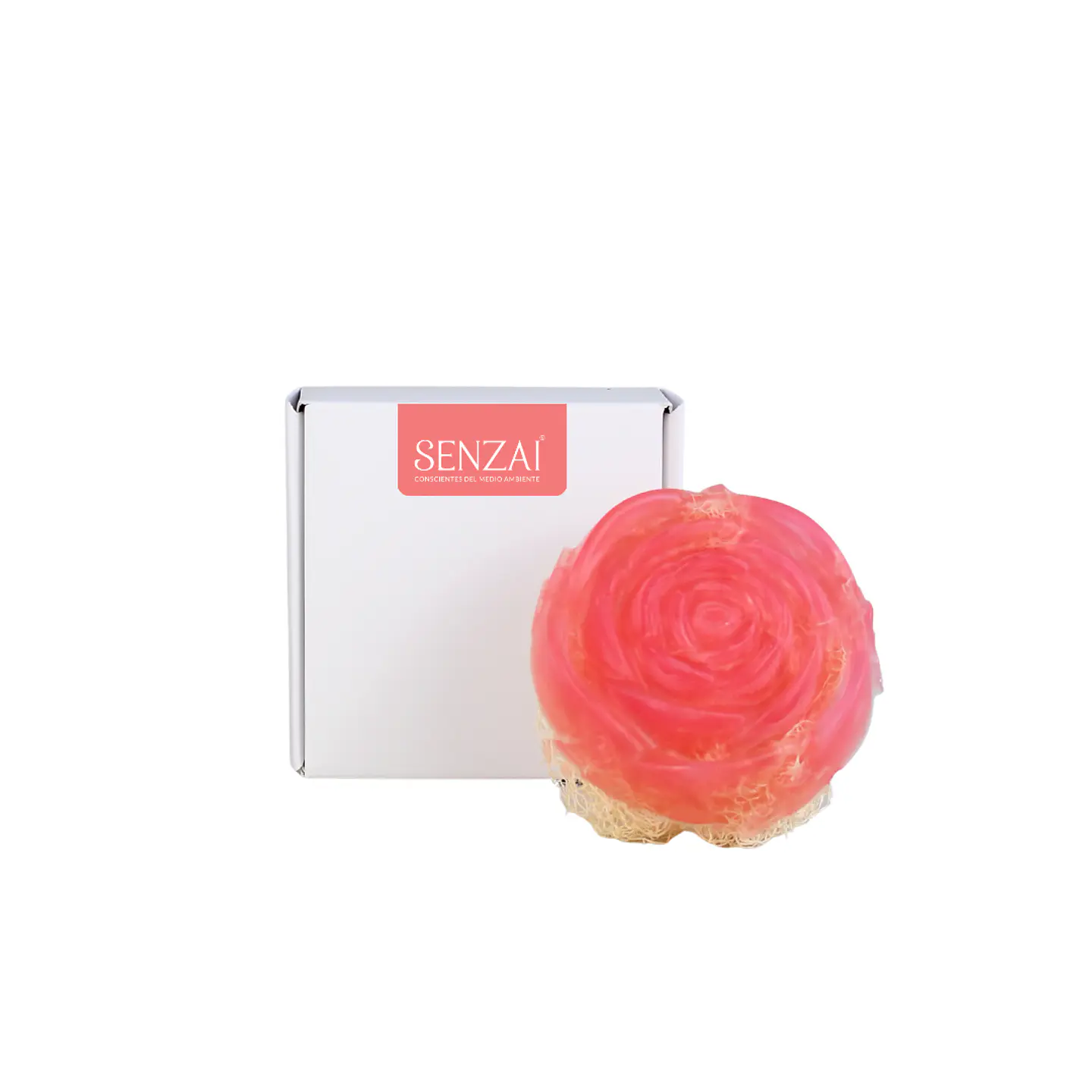 Jabón Corporal Exfoliante Lufa & Aloe Vera 1