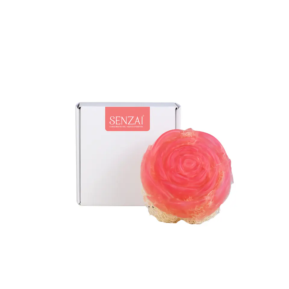 Jabón Corporal Exfoliante Lufa & Aloe Vera 1