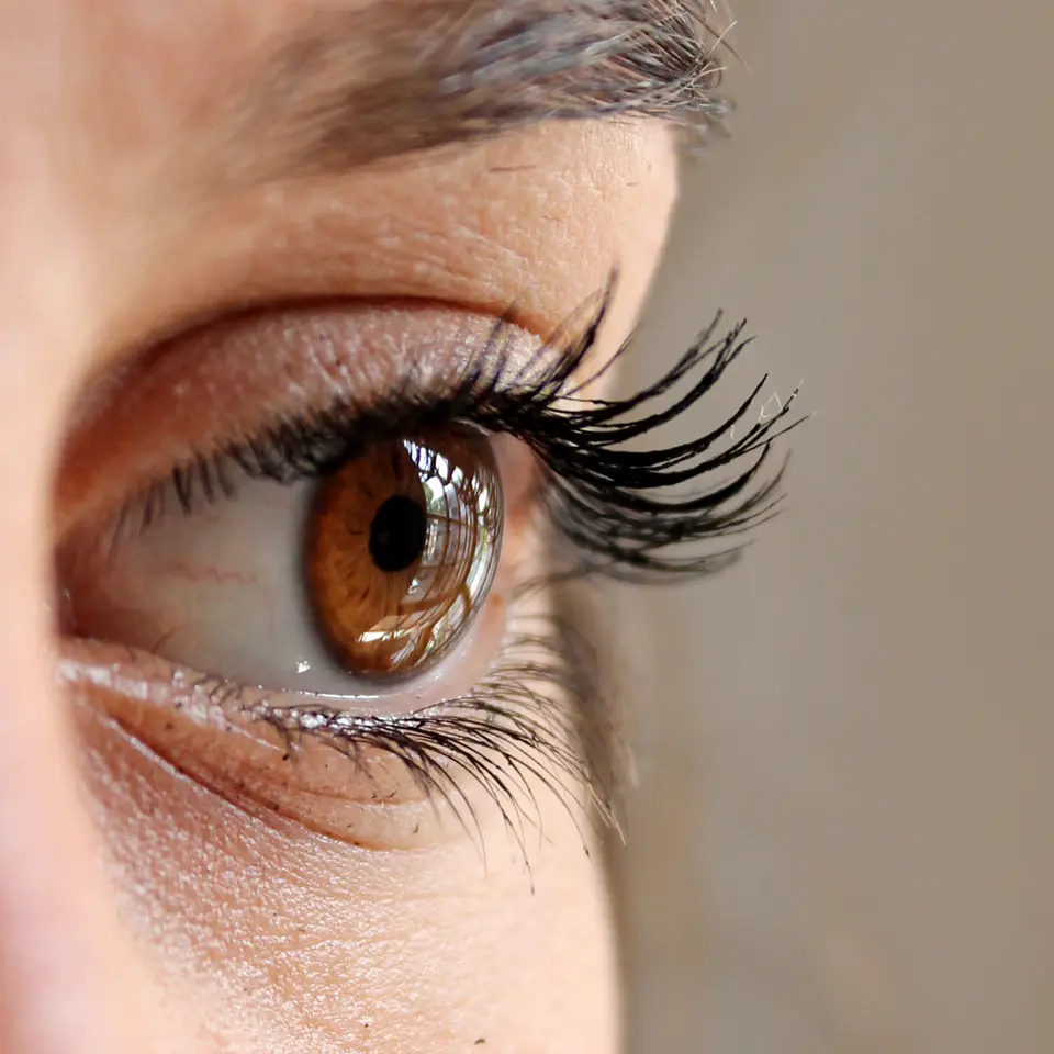 Fortalecedor de Pestañas Aceite de Ricino 2