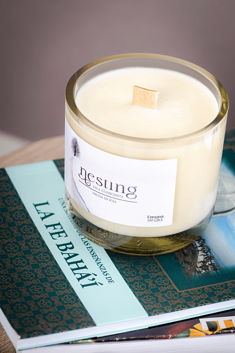 🌿 Presentamos a Nesting SpA: Bienestar y Sustentabilidad en cada vela 🌿