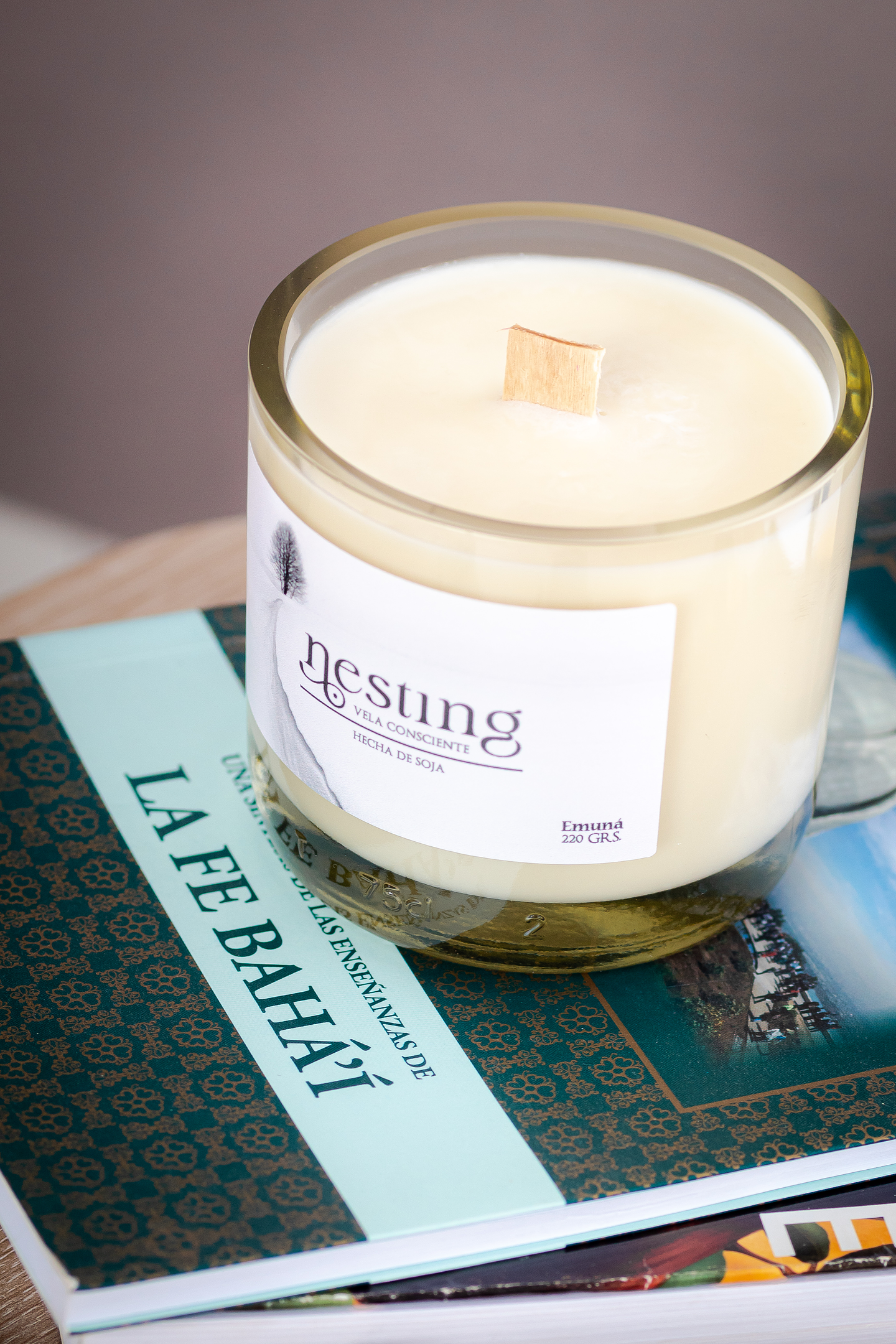 🌿 Presentamos a Nesting SpA: Bienestar y Sustentabilidad en cada vela 🌿 1