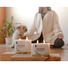 🌿 Presentamos a Nesting SpA: Bienestar y Sustentabilidad en cada vela 🌿 12