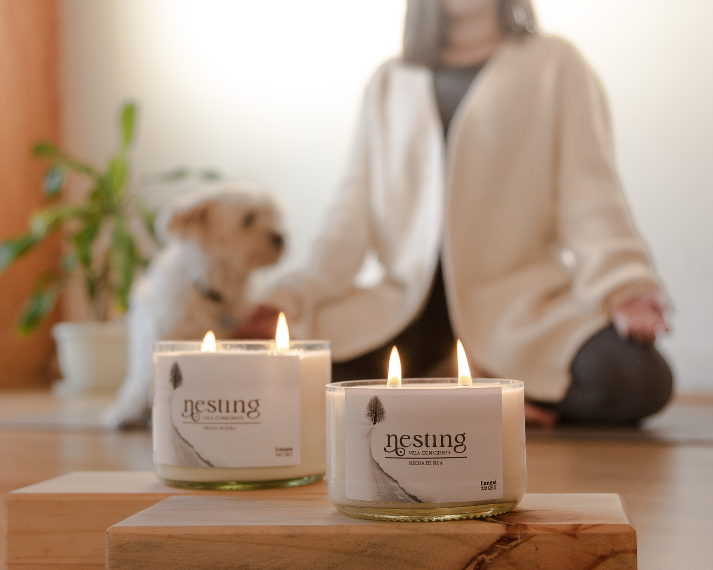 🌿 Presentamos a Nesting SpA: Bienestar y Sustentabilidad en cada vela 🌿 12