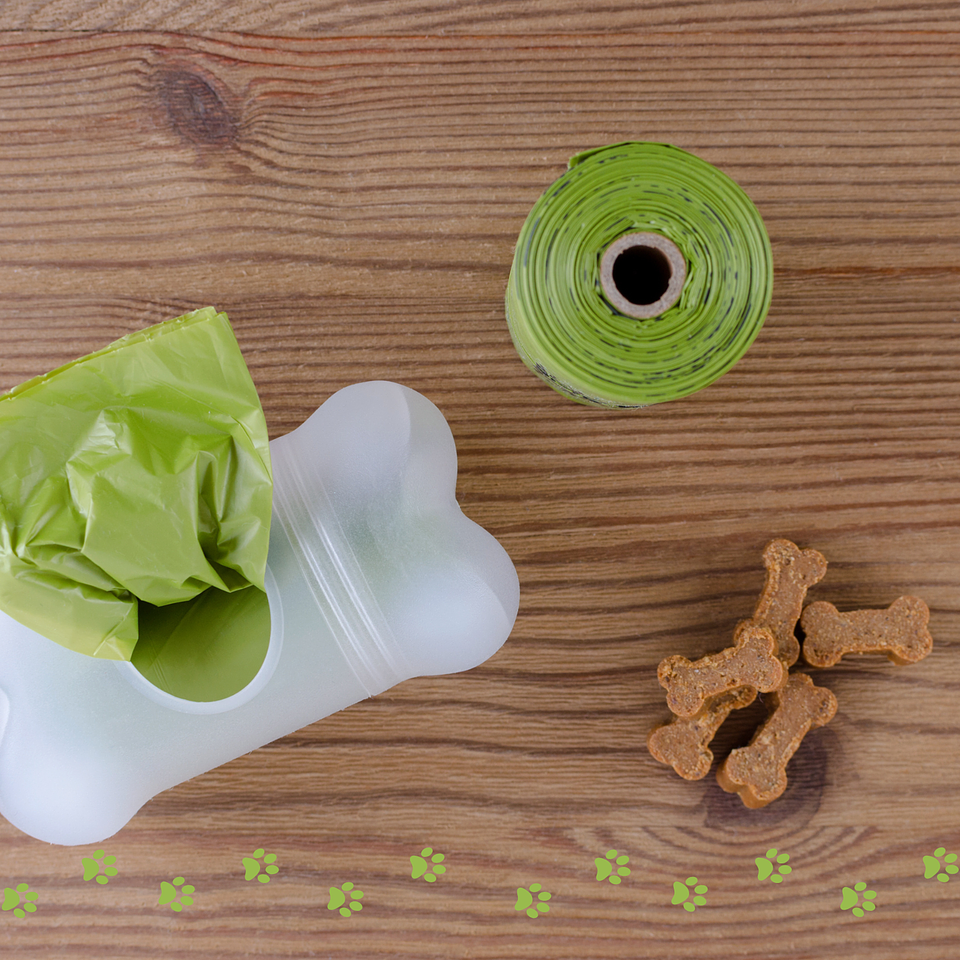 Se Composta - Bolsas Compostables y Certificadas para un Mundo Más Verde 3