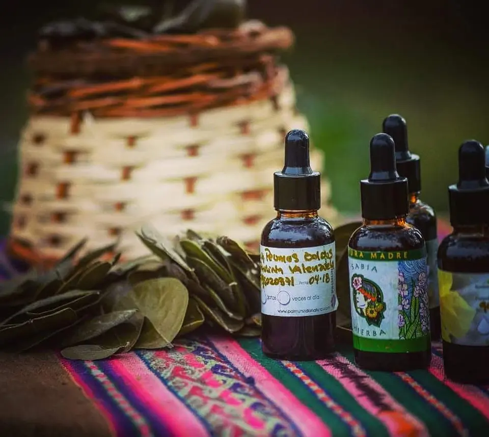 Sabia Hierba: Terapias y Productos Naturales Sostenibles en Santiago 8