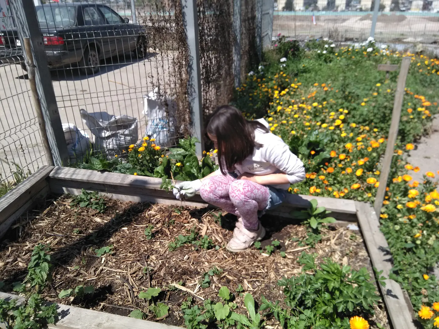 Sabia Hierba: Terapias y Productos Naturales Sostenibles en Santiago 13