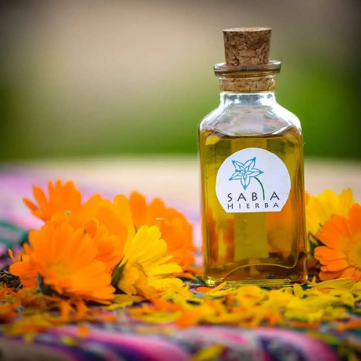 Sabia Hierba: Terapias y Productos Naturales Sostenibles en Santiago 10