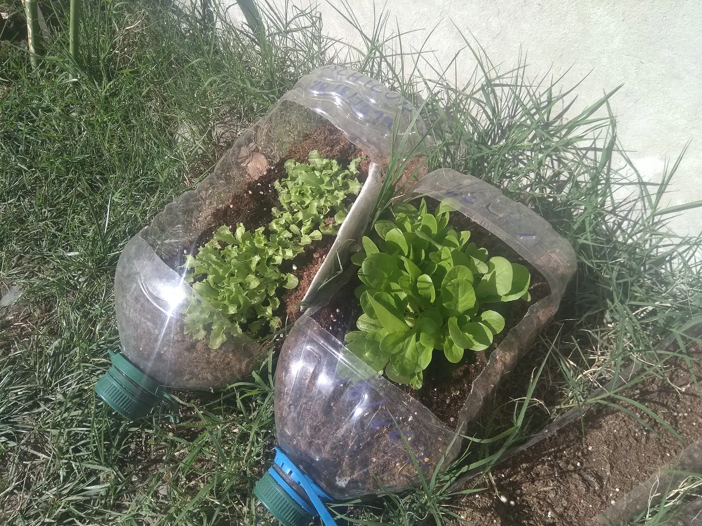 Sabia Hierba: Terapias y Productos Naturales Sostenibles en Santiago 14