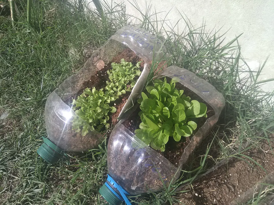 Sabia Hierba: Terapias y Productos Naturales Sostenibles en Santiago 14