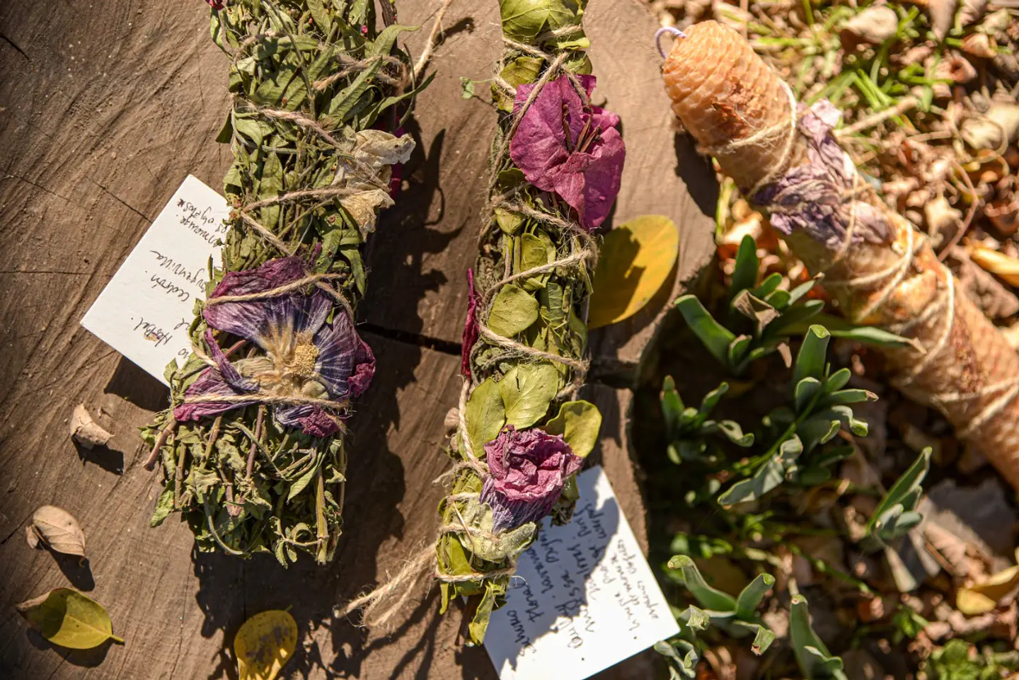 Sabia Hierba: Terapias y Productos Naturales Sostenibles en Santiago 11