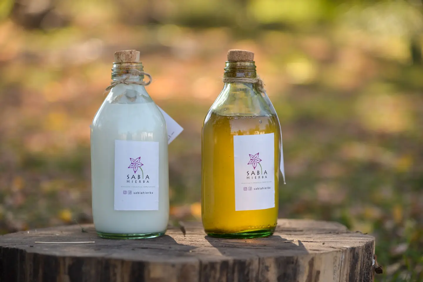 Sabia Hierba: Terapias y Productos Naturales Sostenibles en Santiago 9