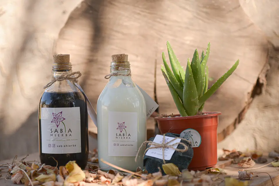 Sabia Hierba: Terapias y Productos Naturales Sostenibles en Santiago 4
