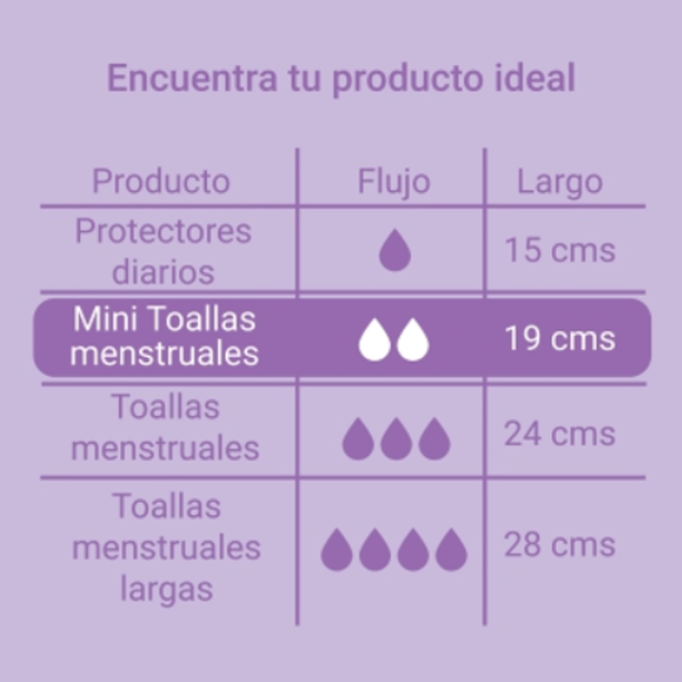 🌿 Mini Toallas Ultrafinas con Alas – Nilay 2