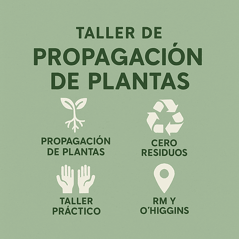 🌱 Taller de Propagación de Plantas | Aprende a multiplicar vida desde tus espacios