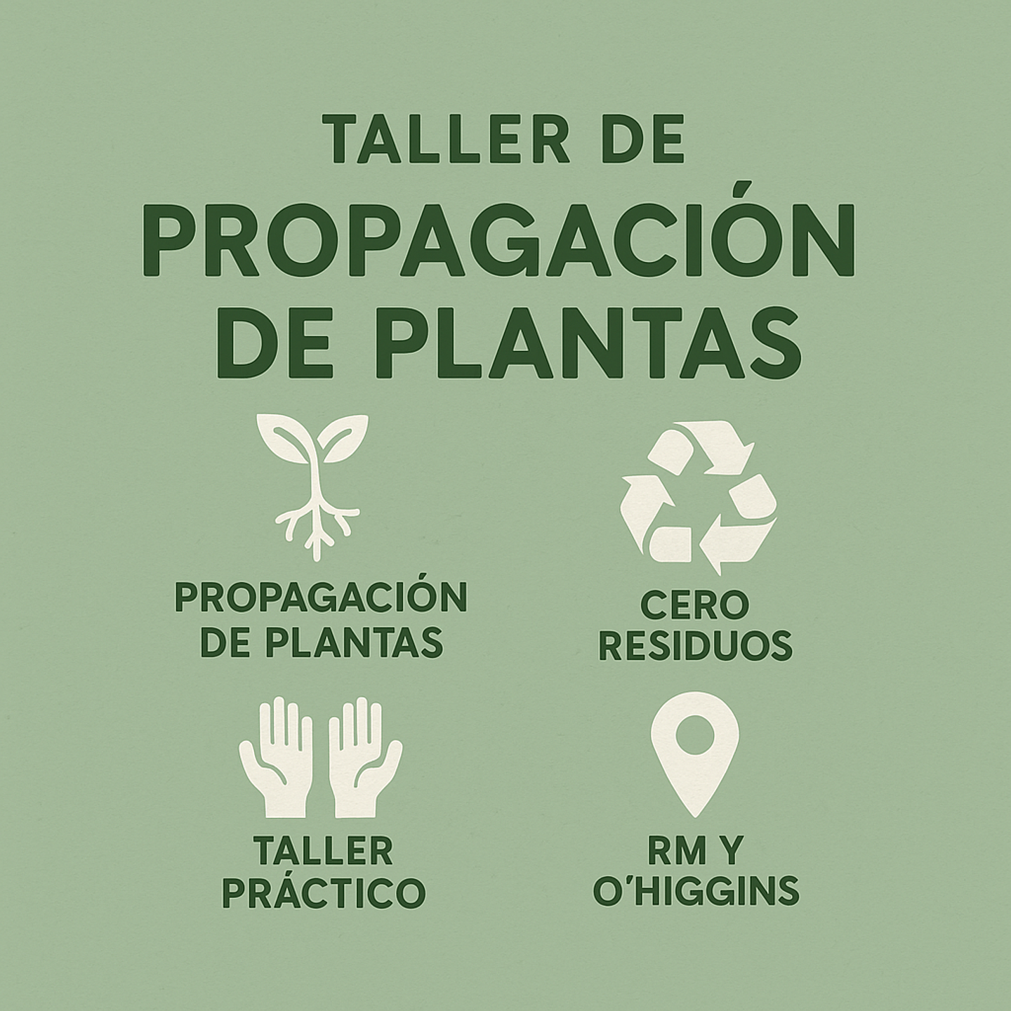🌱 Taller de Propagación de Plantas | Aprende a multiplicar vida desde tus espacios 1