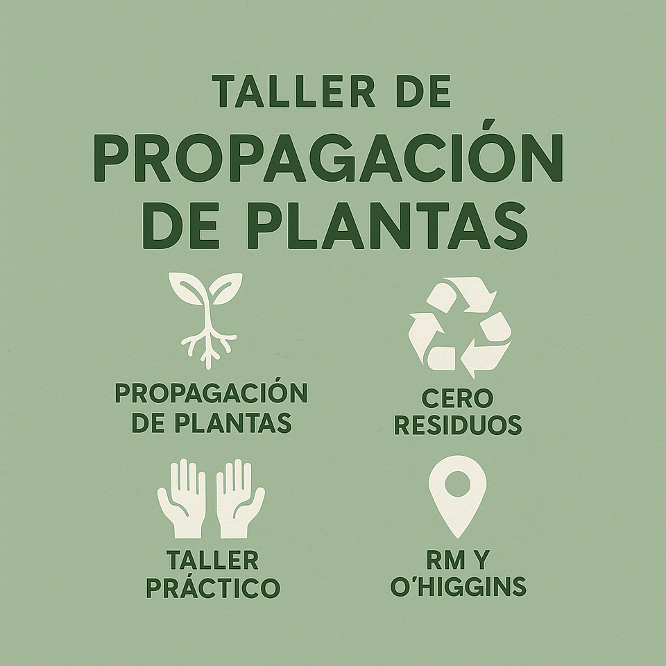 🌱 Taller de Propagación de Plantas | Aprende a multiplicar vida desde tus espacios 1