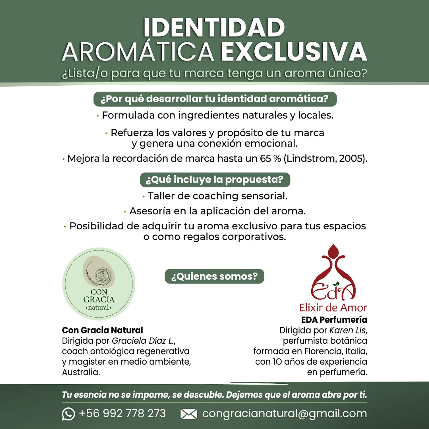 Identidad Aromática para Marcas y Espacios 1