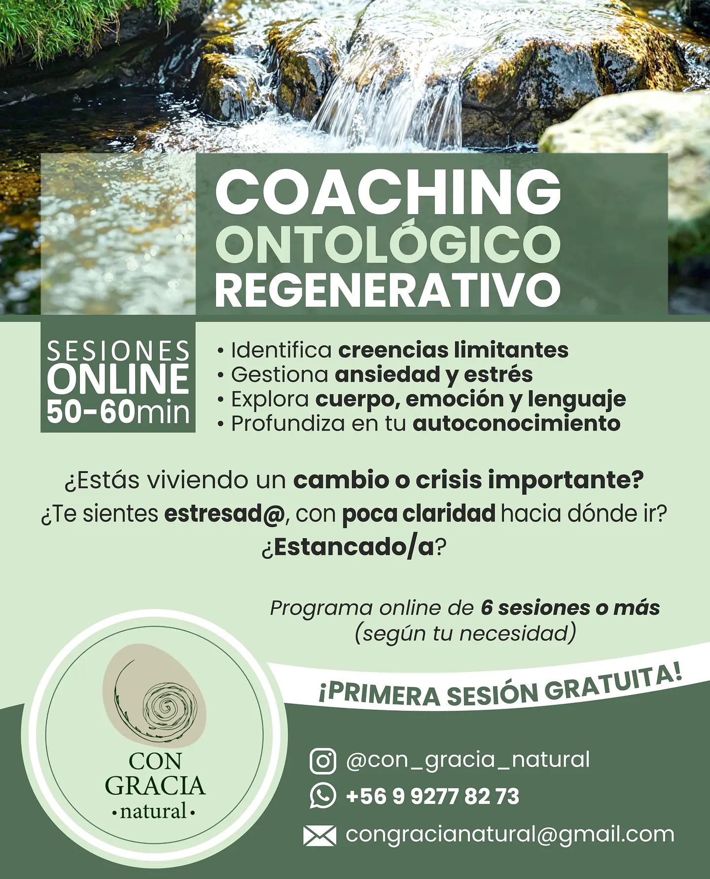 Coaching Ontológico Regenerativo 1