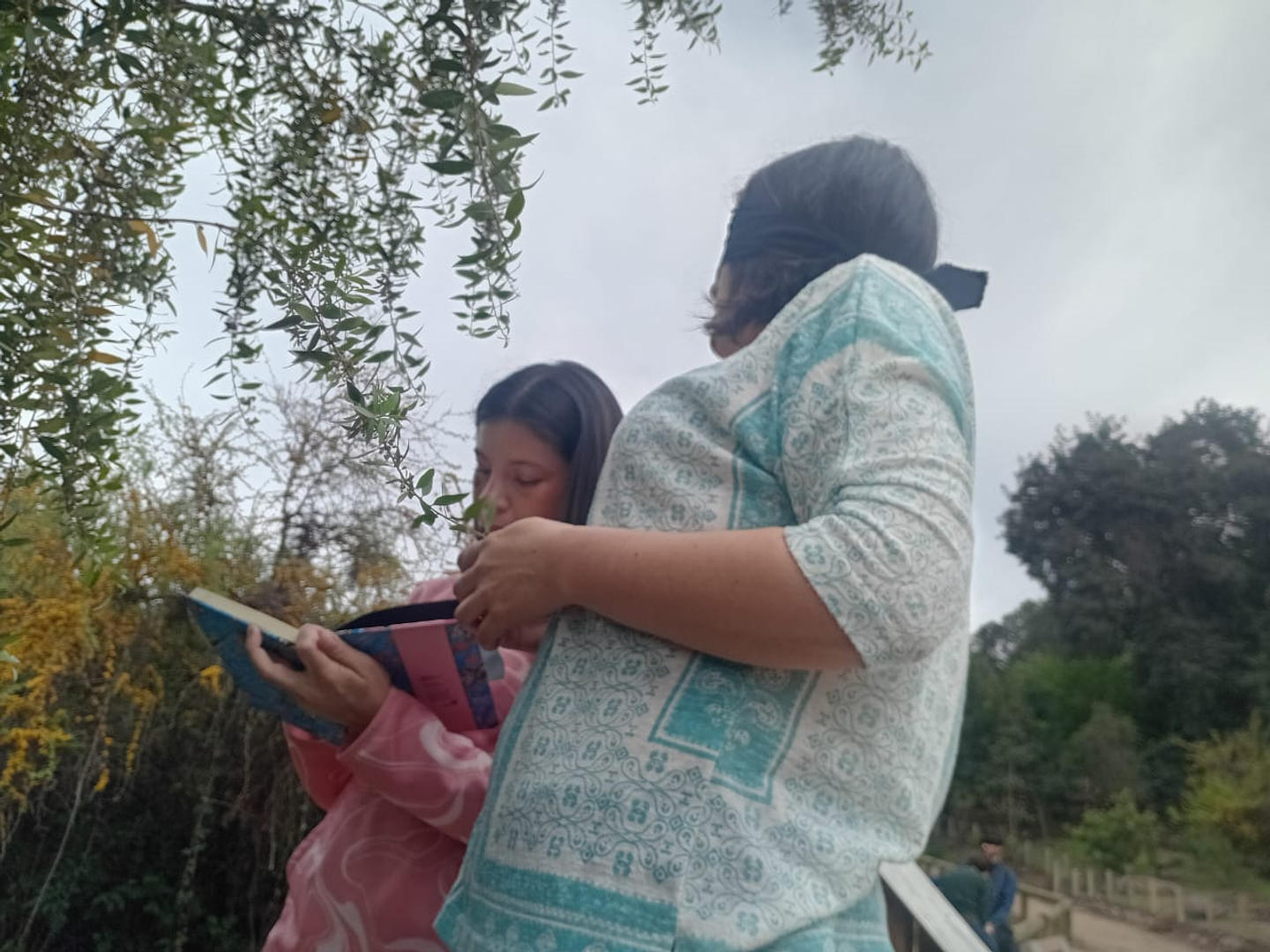 Fraktal – Diseño e Innovación Bio-Inspirada 4