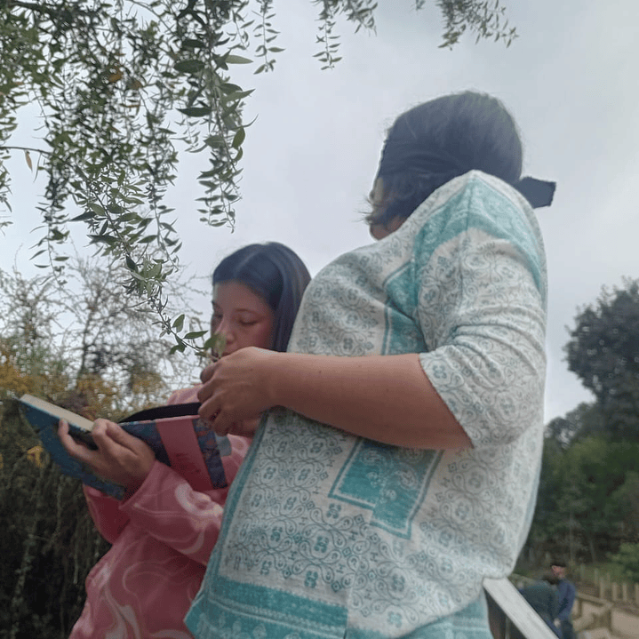 Fraktal – Diseño e Innovación Bio-Inspirada 4