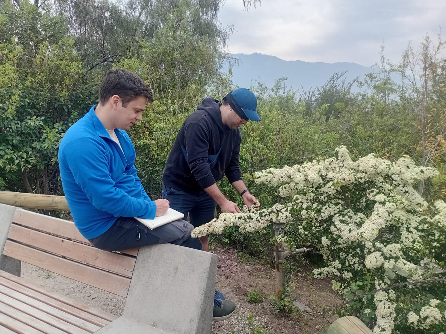 Fraktal – Diseño e Innovación Bio-Inspirada 2