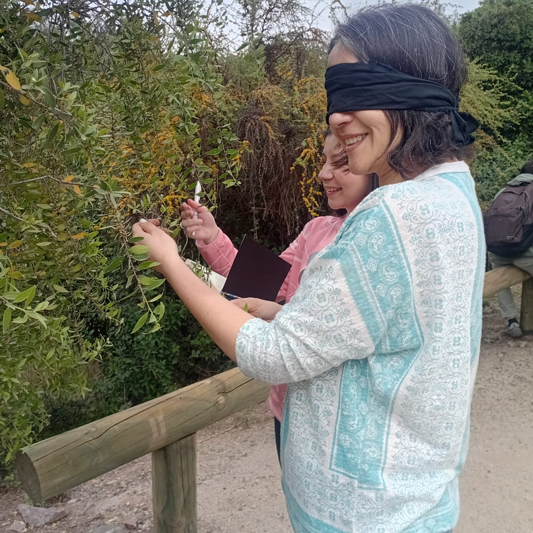 Fraktal – Diseño e Innovación Bio-Inspirada 3