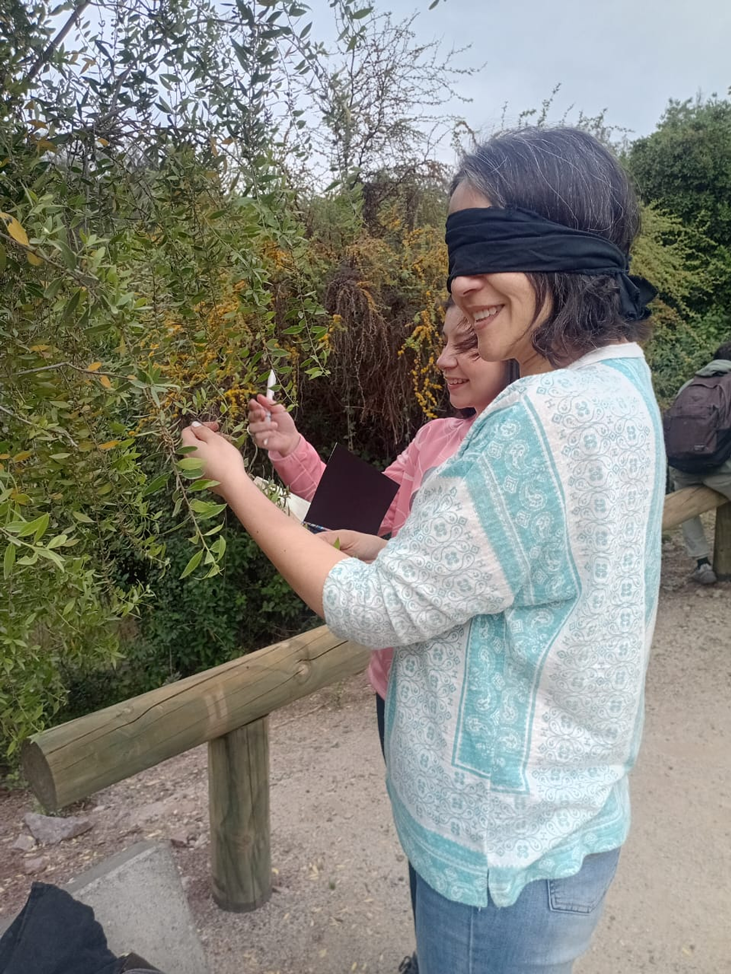 Fraktal – Diseño e Innovación Bio-Inspirada 3