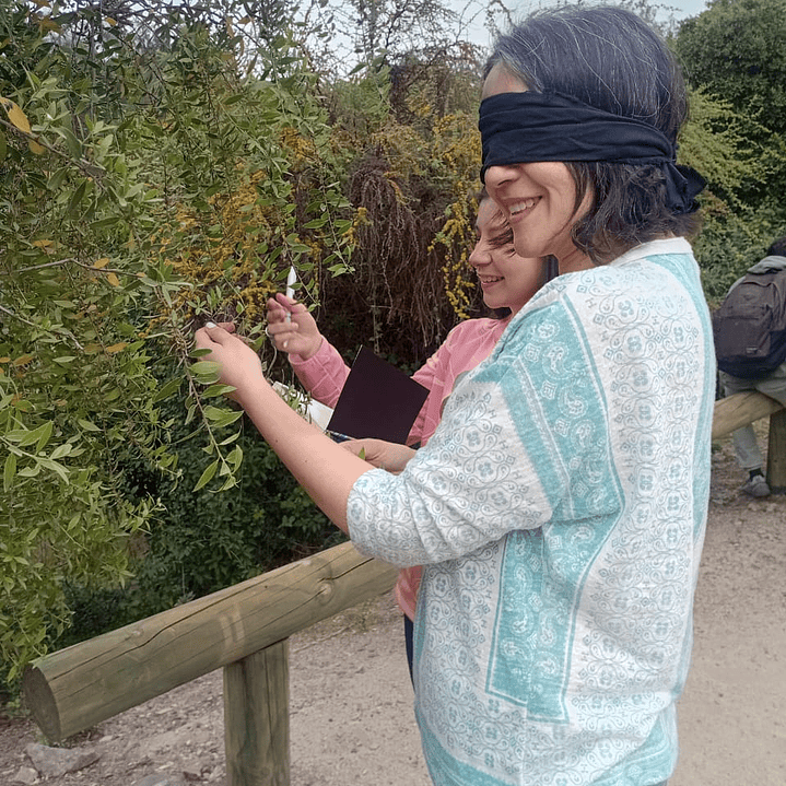 Fraktal – Diseño e Innovación Bio-Inspirada 3