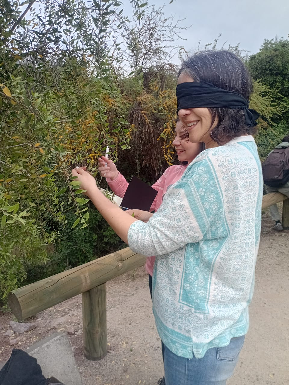 Fraktal – Diseño e Innovación Bio-Inspirada 3