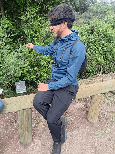 Fraktal – Diseño e Innovación Bio-Inspirada