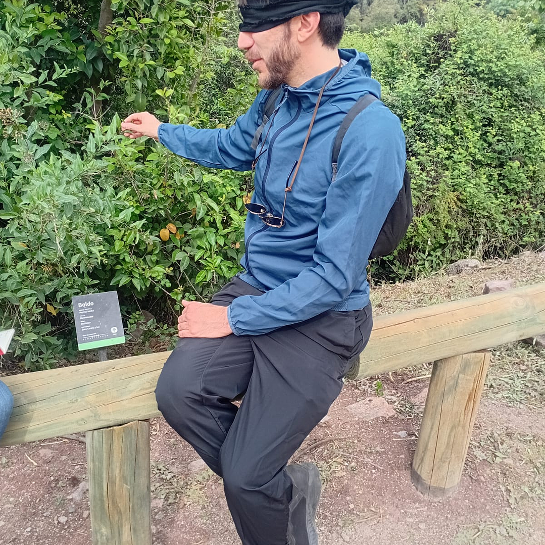 Fraktal – Diseño e Innovación Bio-Inspirada 1