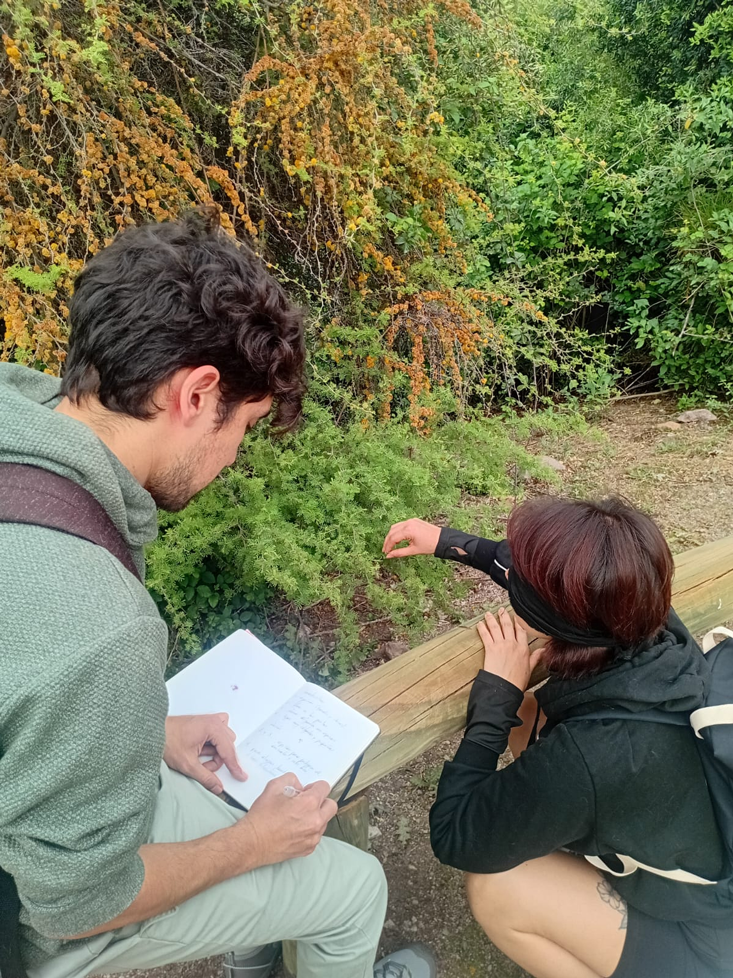 Fraktal – Diseño e Innovación Bio-Inspirada 5