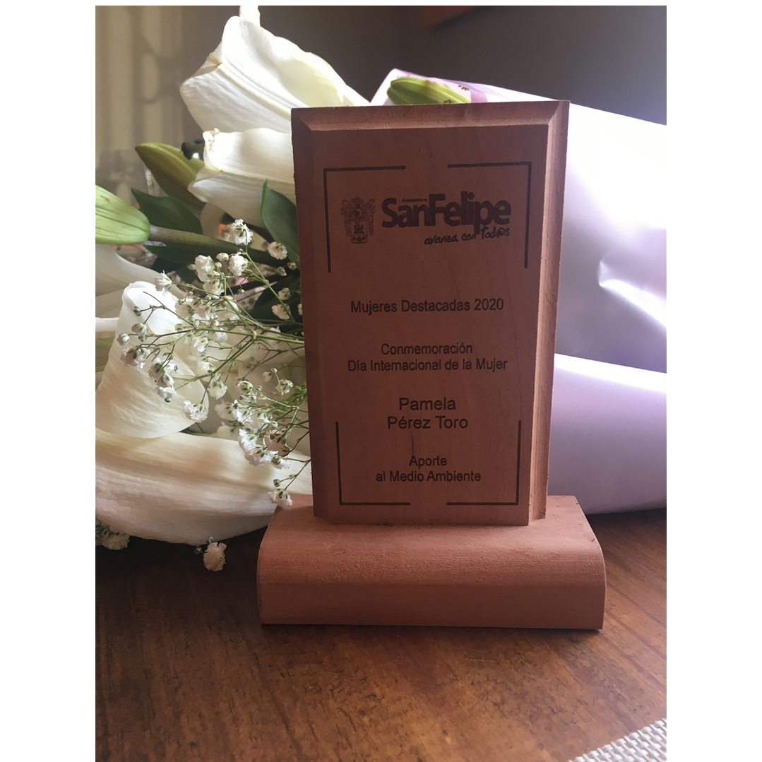 VIVE VERDE SPA - Gestión de residuos con impacto real en empresas y eventos 2