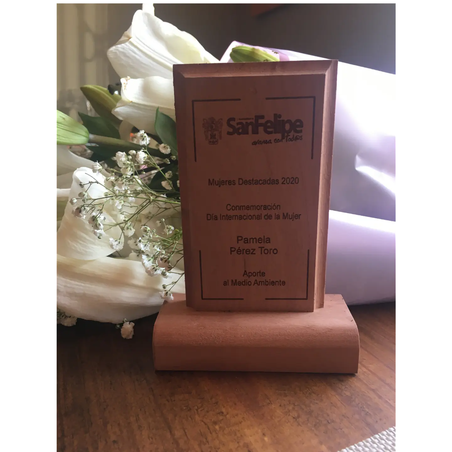 VIVE VERDE SPA - Gestión de residuos con impacto real en empresas y eventos 2