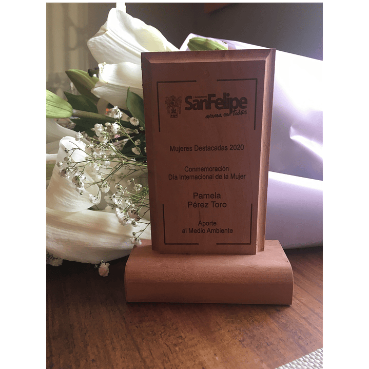 VIVE VERDE SPA - Gestión de residuos con impacto real en empresas y eventos 2