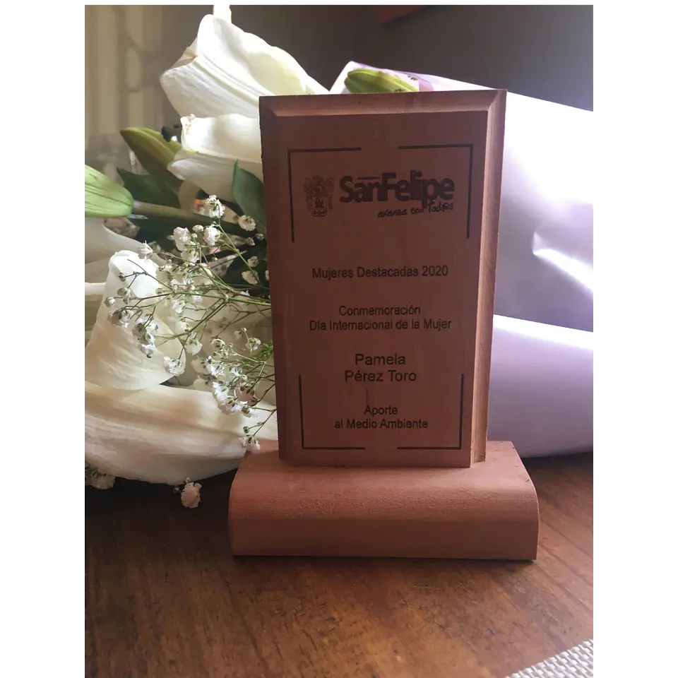 VIVE VERDE SPA - Gestión de residuos con impacto real en empresas y eventos 2