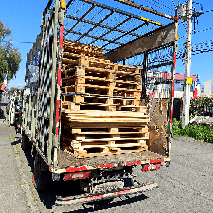 Servicio de Retiro de Madera para Empresas en la Región Metropolitana 3