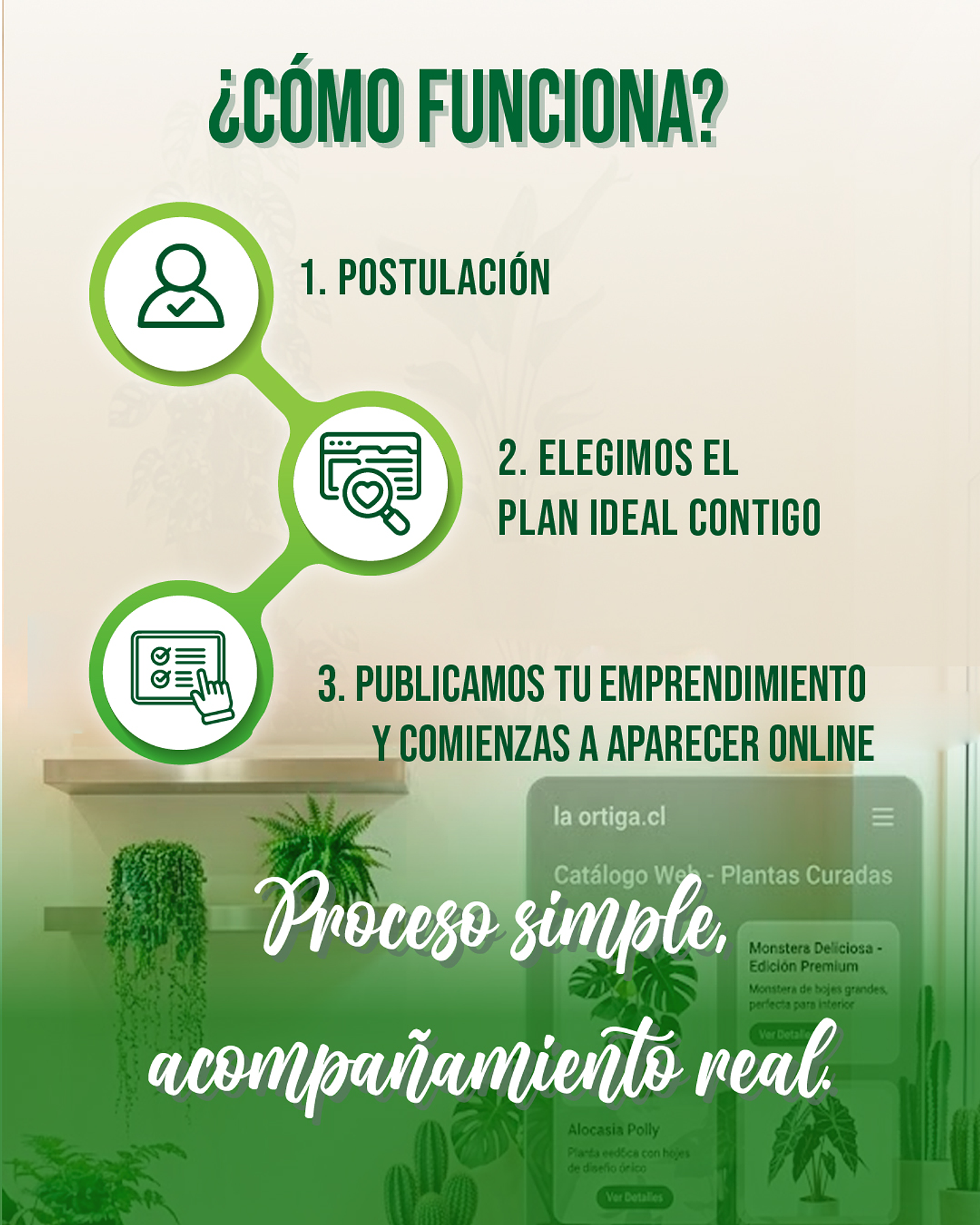Incorporación Plan Comercializa Empresas y Emprendimientos 5