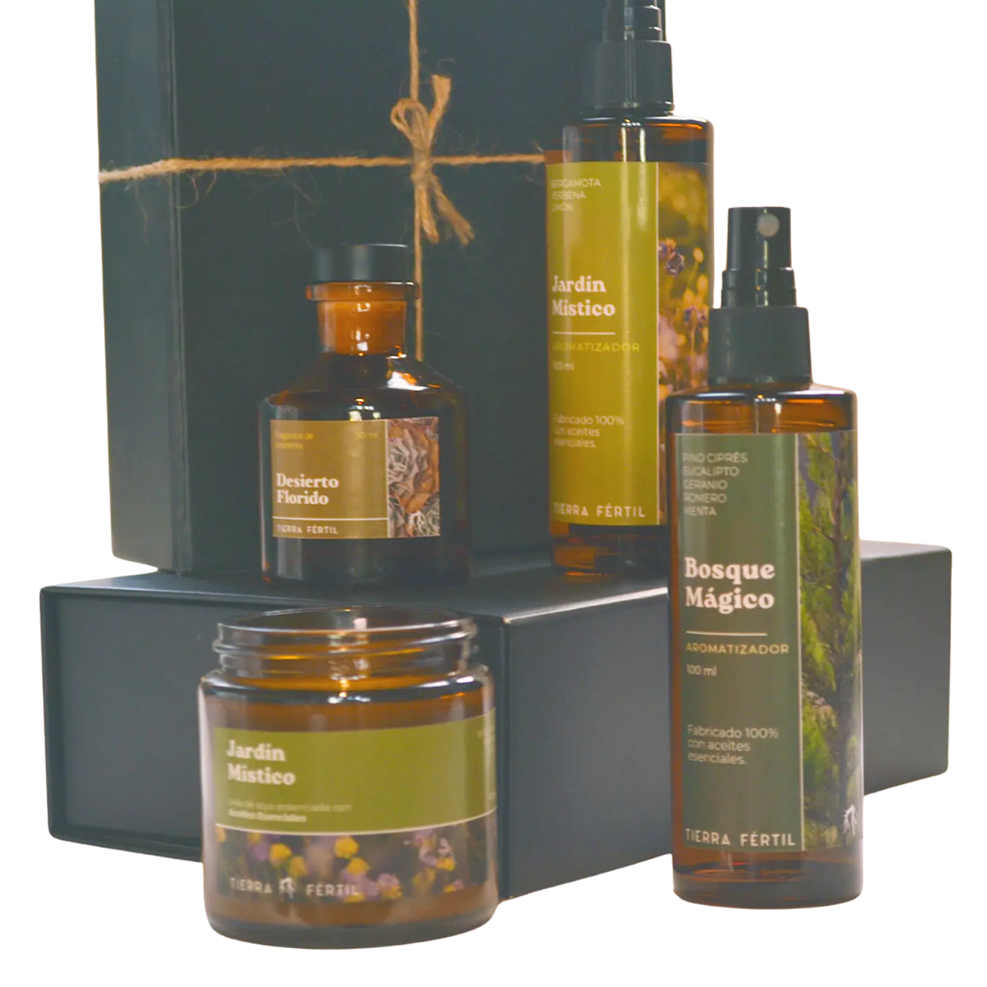 Kit Aromas Naturales 1