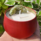 Vela de Soja Tropical | Vela aromática para descanso y desconexión | Cosmos  - Miniatura 4
